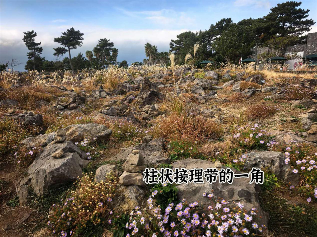 爱达魔都号济州风景