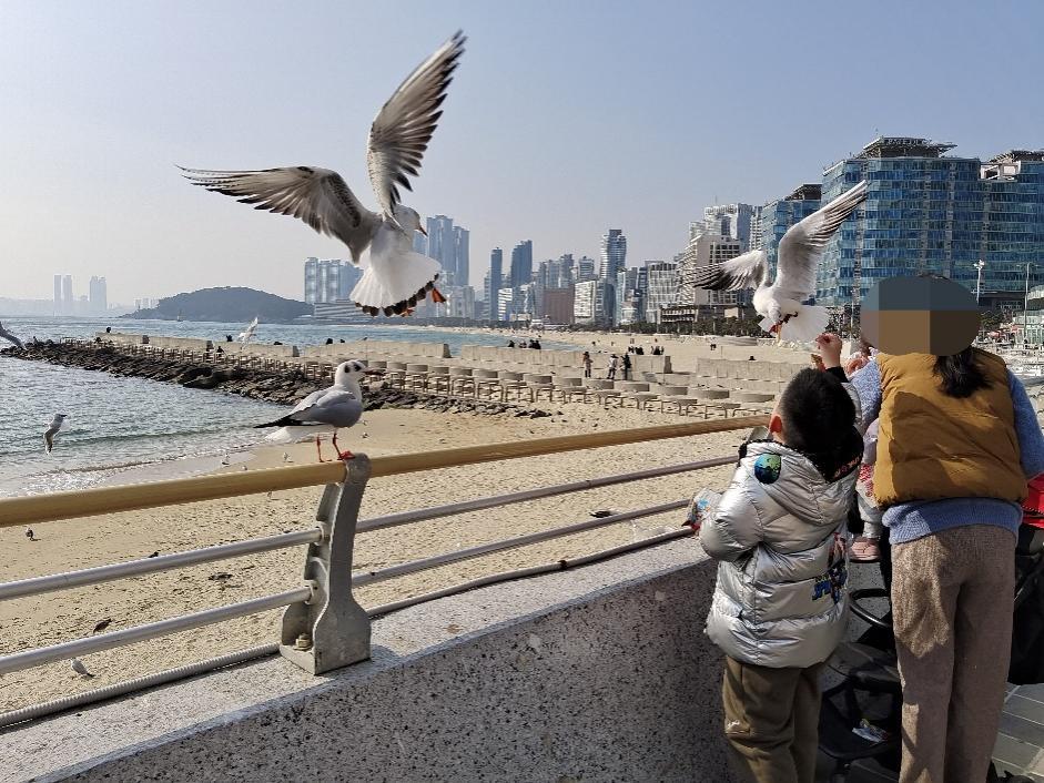 地中海荣耀号釜山照片