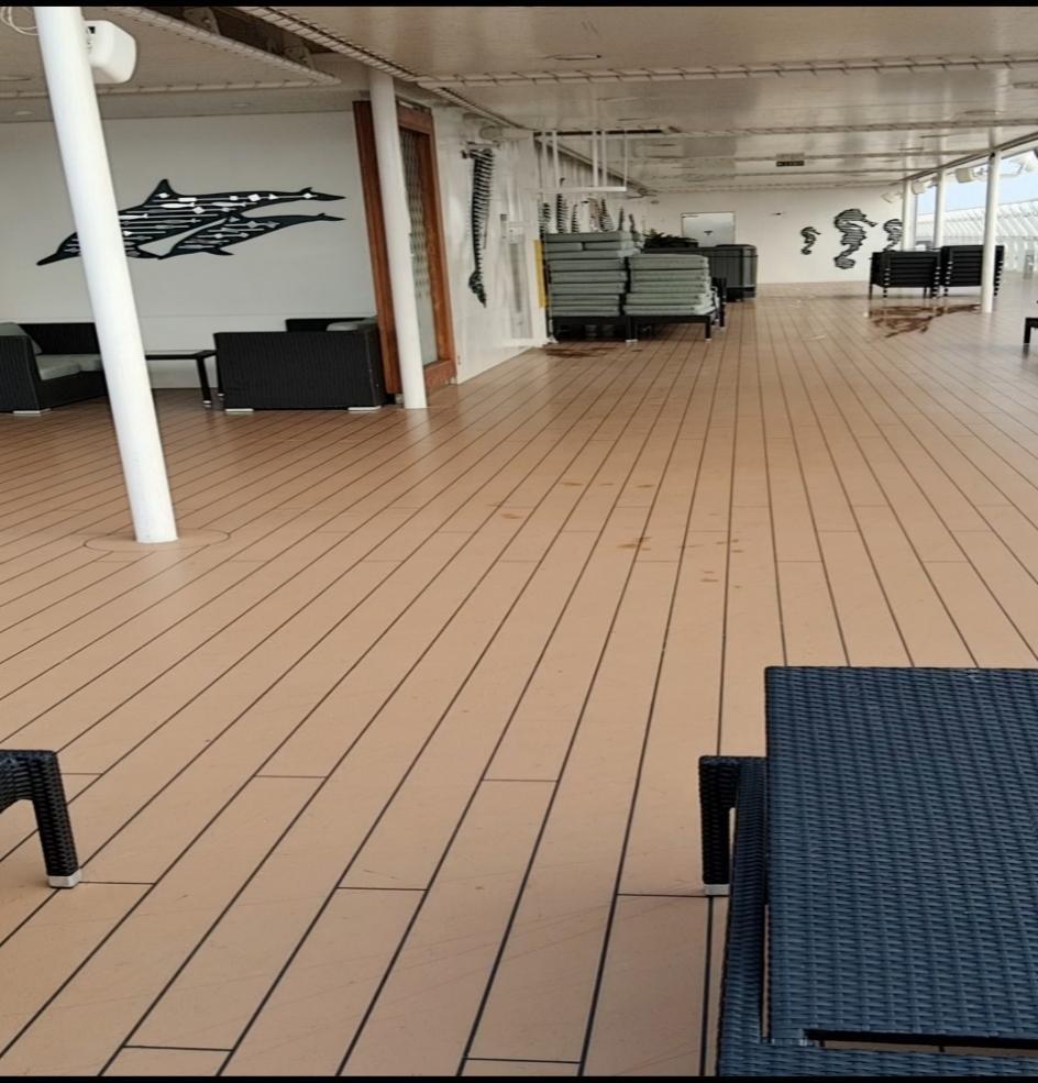 地中海荣耀号躺椅