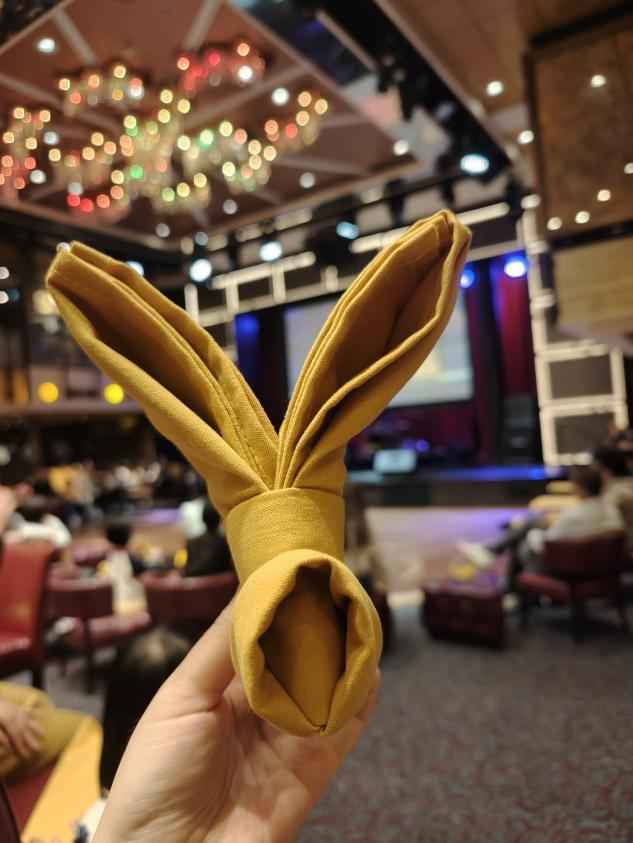 海洋光谱号动物毛巾