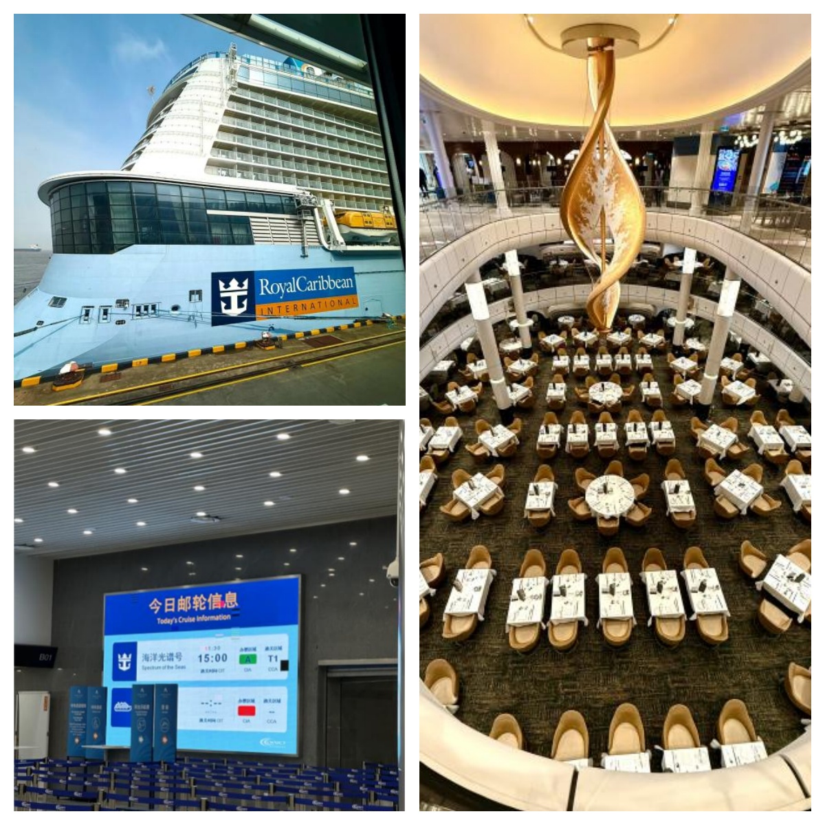 海洋光谱号登船信息