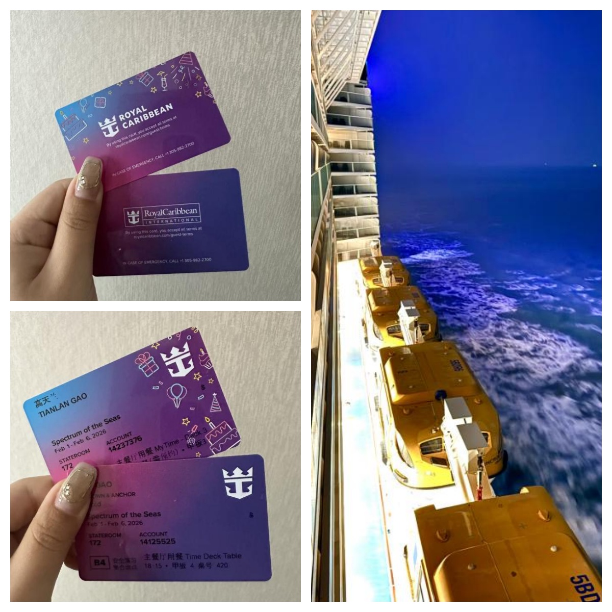 海洋光谱号房卡
