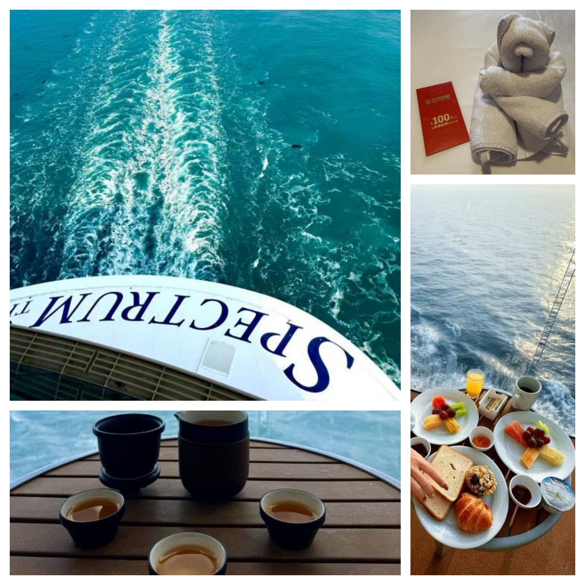 海洋光谱号房间体验