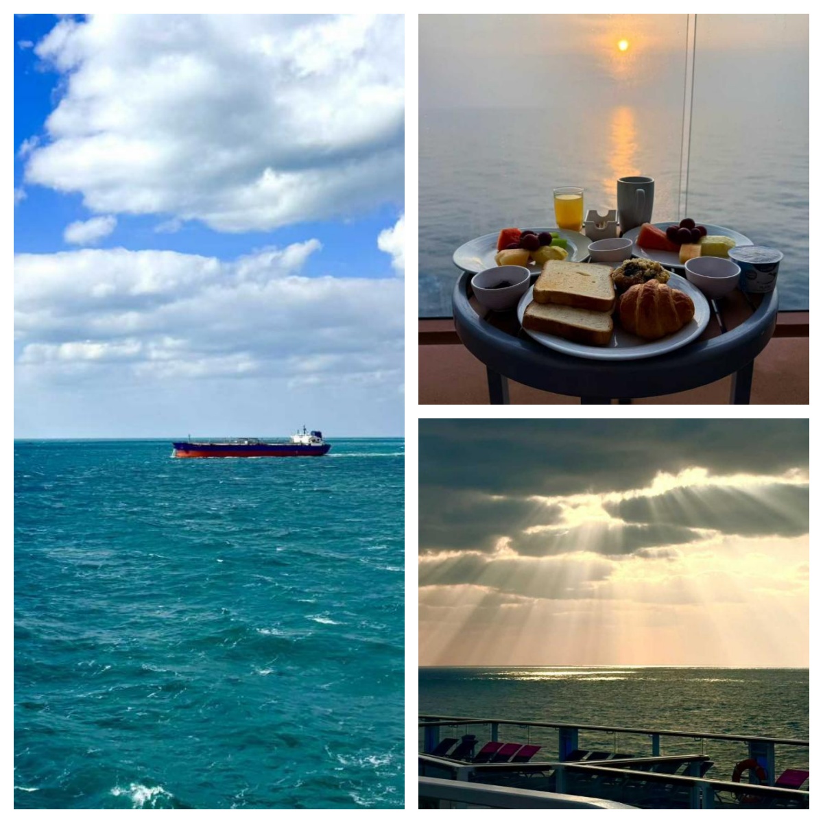 海洋光谱号体验1