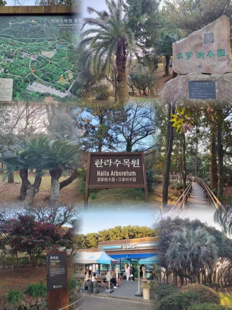 梦想号岸上风景