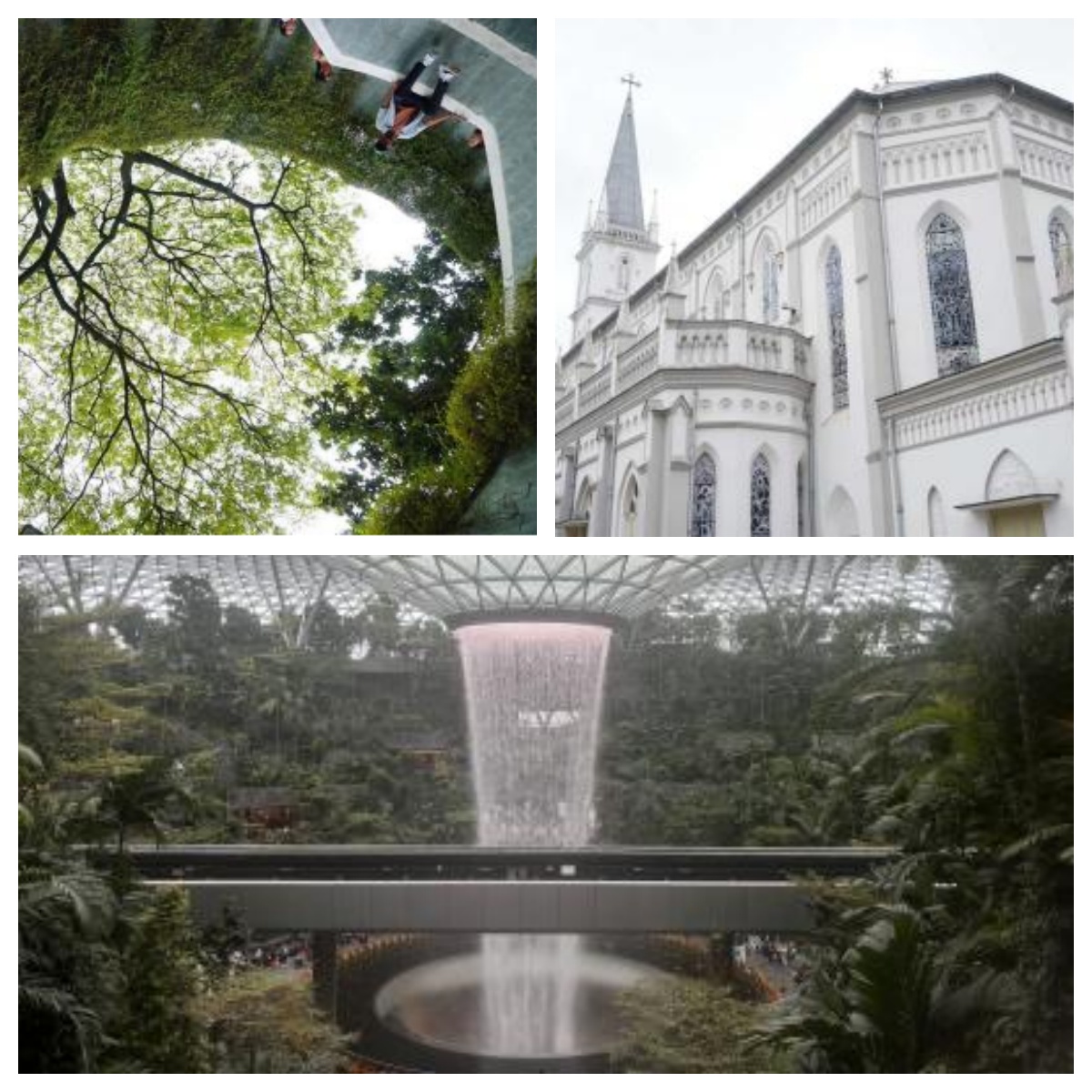 海洋赞礼号新加坡风景