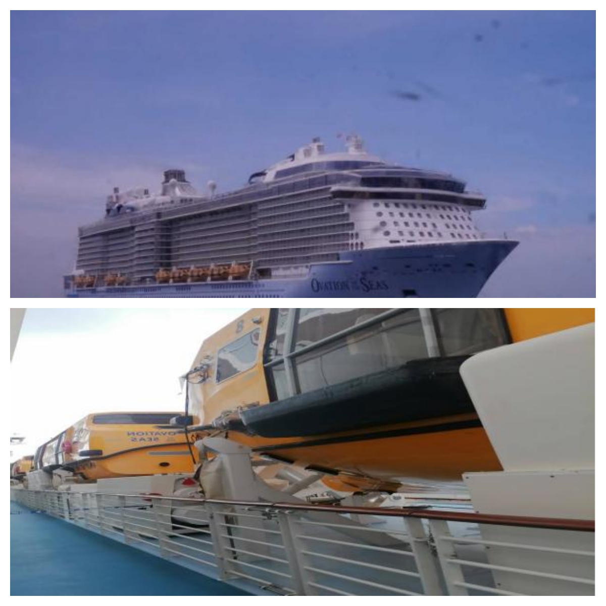 海洋赞礼号外观