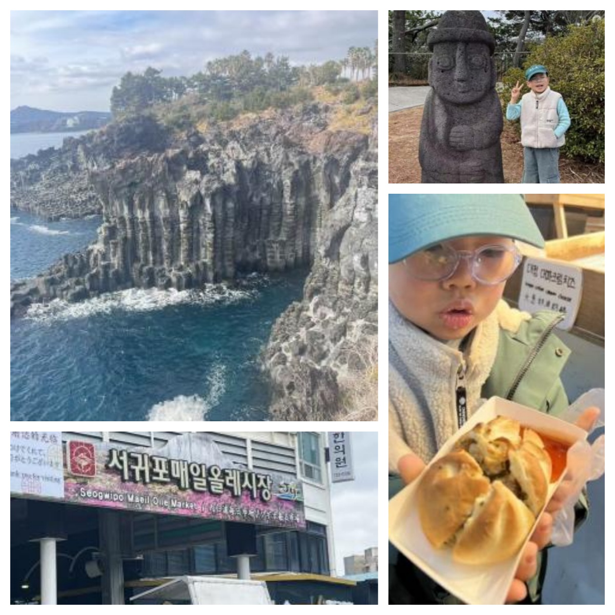 爱达魔都号韩国岸上游