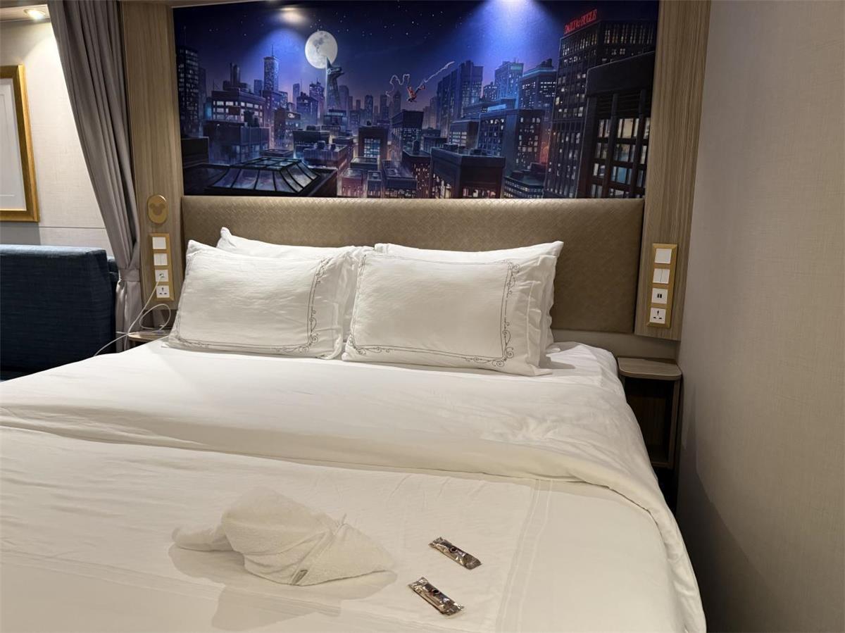 迪士尼探险号房间1