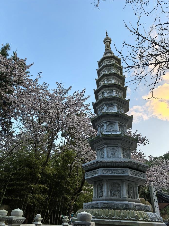 爱达魔都号岸上风景1