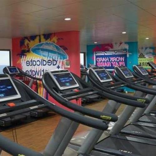 诺唯真畅意号邮轮健身中心图片